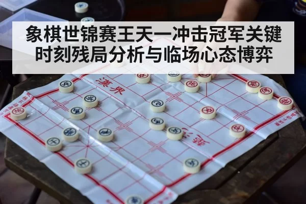 象棋世锦赛王天一冲击冠军关键时刻残局分析与临场心态博弈